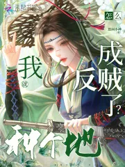 《我就种个地，怎么成反贼了？》小说封面