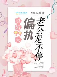 《契婚99天：偏执老公宠不停》小说封面