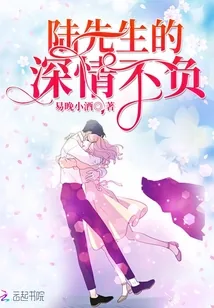 《陆先生的深情不负》小说封面
