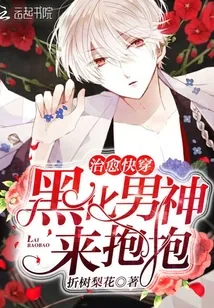 《治愈快穿：黑化男神，来抱抱》小说封面