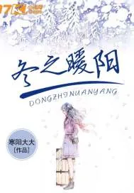 《冬之暖阳》小说封面