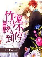 《萌萌青梅：竹马驾到宠不停》小说封面