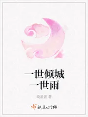 《一世倾城一世雨》小说封面