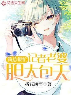 《简总很忙：记者老婆胆大包天》小说封面