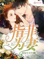 《指菲为妻》小说封面