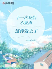 《下一次我们不要再这样爱上了》小说封面