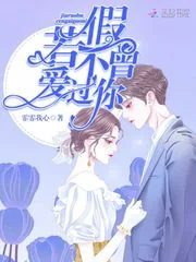《假若不曾爱过你》小说封面