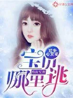 《君少心尖宠：宝贝哪里跑》小说封面
