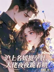 《沪上名媛挺孕肚，大佬夜夜跪着哄》小说封面