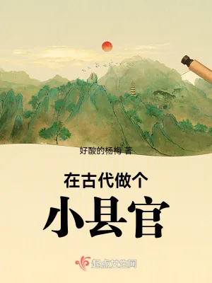 《在古代做个小县官》小说封面